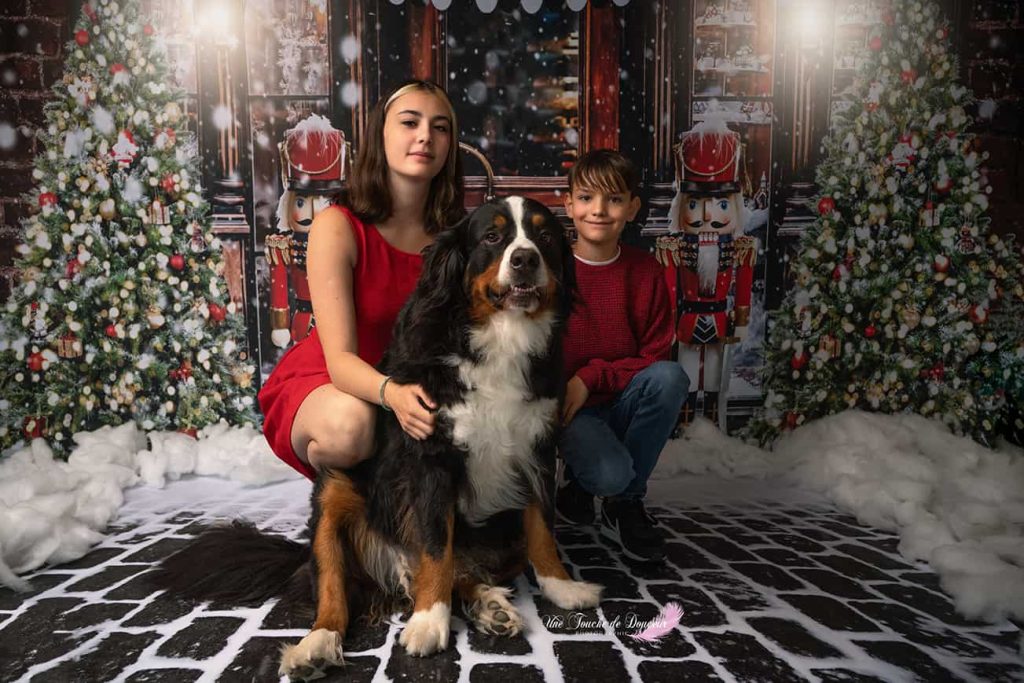 seance photo noel - photo de noel en famille - photographe saint pathus- photographe seine et marne et oise